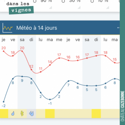 On a passé un cap. Deux nuits de gel très rudes, mais il ne faut pas en rester là. Se remettre au...