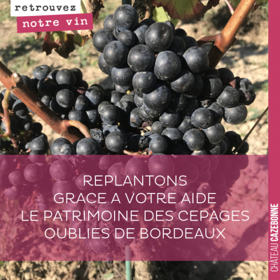 *** PRET AVEC INTERETS EN VIN *** Nous lançons avec la plate-forme Winefunding un emprunt pour la...