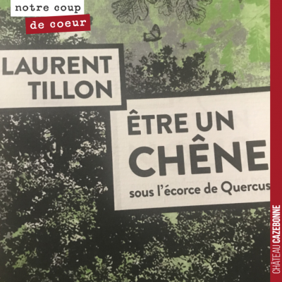 Passionnante lecture du week-end. Laurent Tillon nous raconte l'histoire de Quercus, un chêne ses...