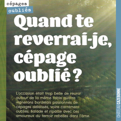 Maylis Detrie est venu à la rencontre des vignerons bordelais qui revisitent l'histoire de Bordea...