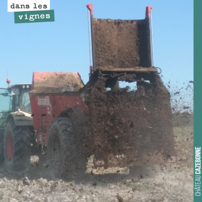 30 tonnes de fumier par hectare sur cette plantation ! Rien de mieux que le fumier bien composté ...