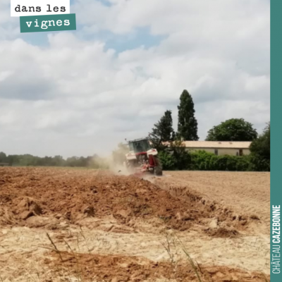 On a travaillé le sol pour la plantation. On plante mardi.