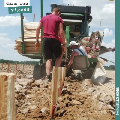 On plante sans relâche. Il y a de l'eau dans le sol, mais s'il ne pleut pas en début de semaine, ...