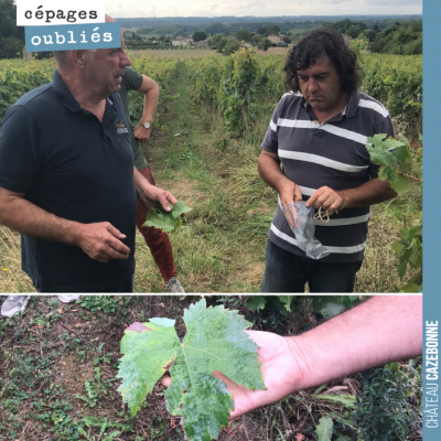 En discutant l'année dernière avec Jean-Francois Menard du Château Memoires, il me parlait de vie...