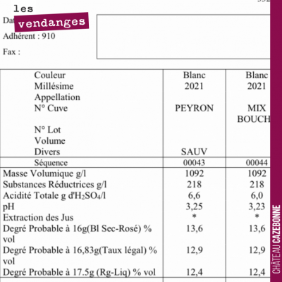 Analyse de nos blancs de nos parcelles de Peyron et Bouché. On démarre les vendanges à partir de ...