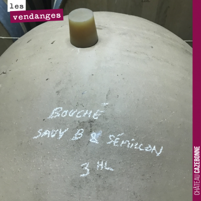 On effectue les fermentations de notre parcelle de Bouché en oeuf. Des contenants de 300 litres q...
