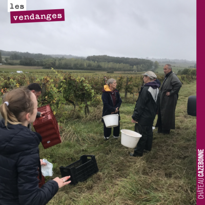 On continue les vendanges. Elles vont durer encore une dizaine de jours. On va pousser nos cabern...