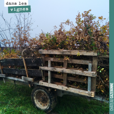 Savez vous ce que nous avons fait dans les vignes la semaine dernière ?