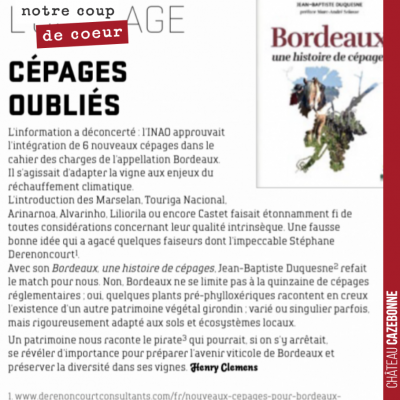 Très bel article dans Junkpage sur notre livre, Bordeaux, une histoire de cépages. Merci Henry Cl...
