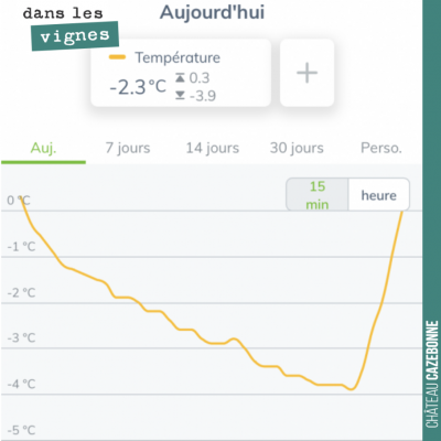 Malheureusement les années se ressemblent. Le thermomètre est descendu à -4 cette nuit. Les cépag...