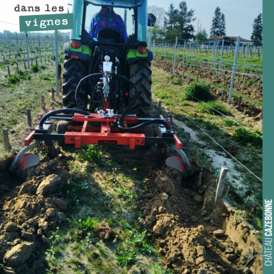 Décavaillonnage des plantes au Maine. Démarrer la saison sur de bonnes bases avec des vignes prop...