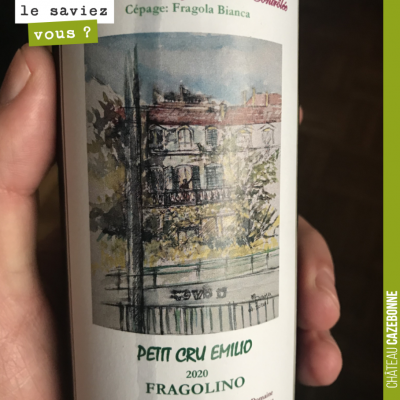 Dégusté hier, ce Fragolîno, vin vinifié en région parisienne par un particulier, à partir d'une t...