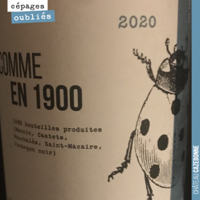 Notre cuvée Comme en 1900 est élaborée à partir de 5 cépages qui étaient dans nos vignes au 19eme...