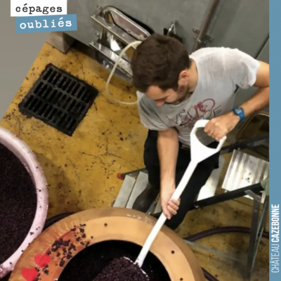 Clément décuve le Bouchalès qui a maintenant fini sa fermentation. 7,5hl d'une petite merveille q...