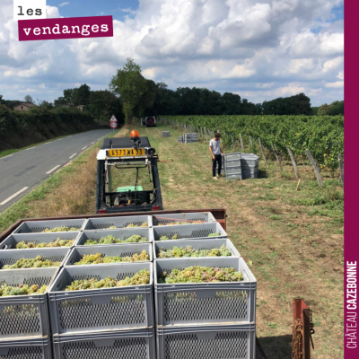 Vendanges, clap de fin 🎬 ! Notre synthèse du millésime 2022. C'est une symphonie de cépages que n...