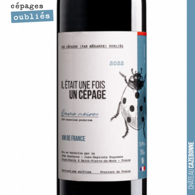 Sortie de notre cuvée à base Jurançon noir. Très joli vin sur le fruit avec une matière bien prés...