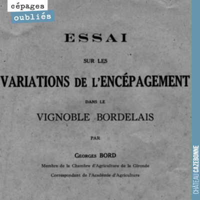 Ce document est une pièce maîtresse pour comprendre les raisons qui ont amené au choix des cépage...