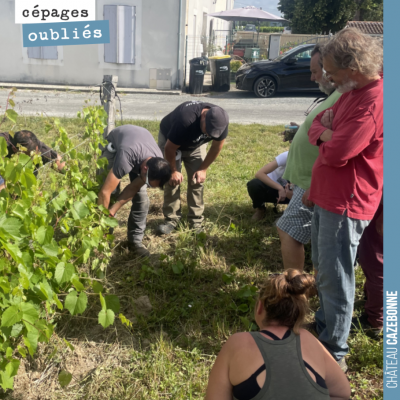 La solidarité chez les @bordeauxpirate, c'est sacré ! Nous nous sommes retrouvé à une centaine le...